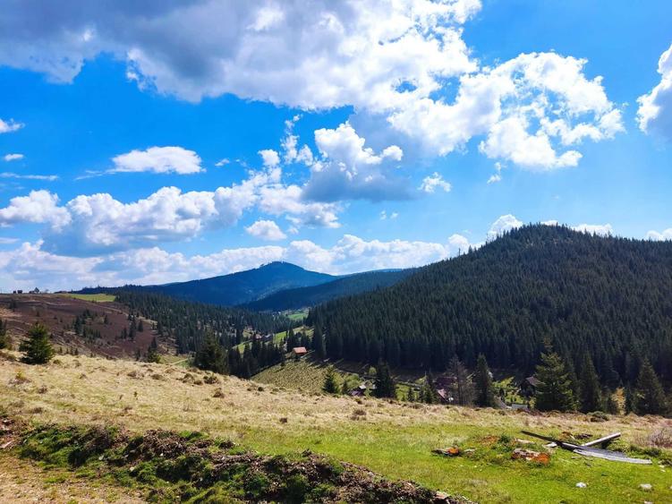 Teren extravilan Poiana Horea - 4