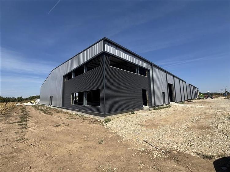 Inchiriere depozit/hala/spatiu industrial Mogosoaia - Buftea - 1