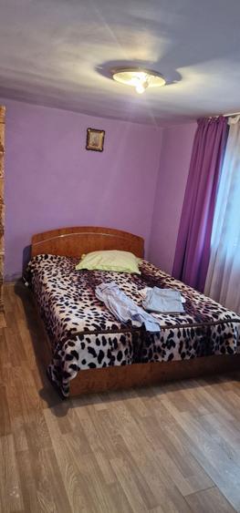 Casa de Vanzare cu 3 dormitoare - 6