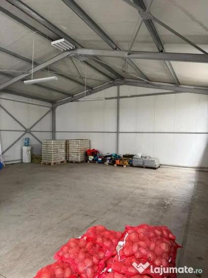 Spatiu comercial 280 mp + 700 mp curte, Filiasi - 7