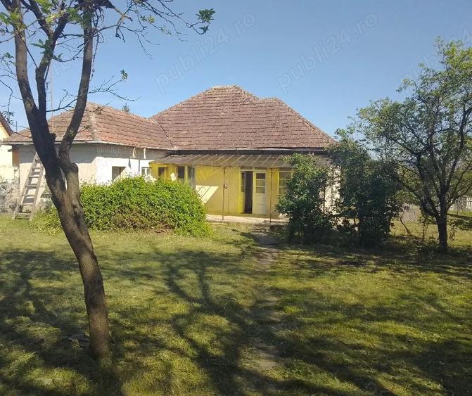 Casă cu 3 camere cu Teren 4123 Mp în Viile Satu Mare