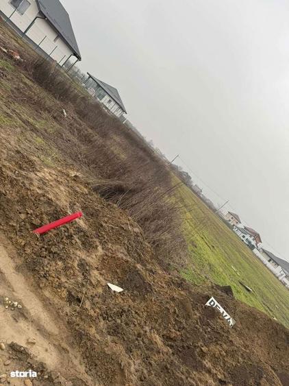 De vanzare teren 5000m , Ilfov - 9