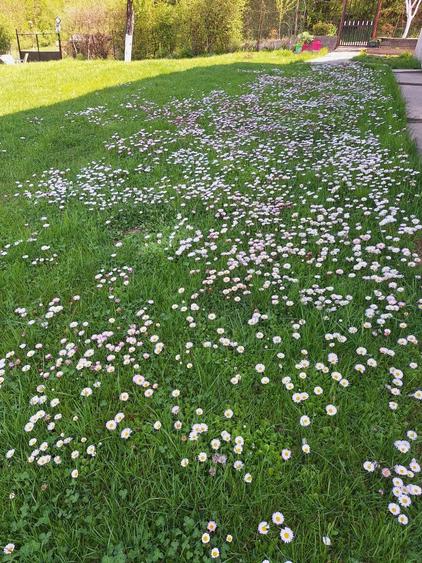 Casa de vanzare.. . - 4