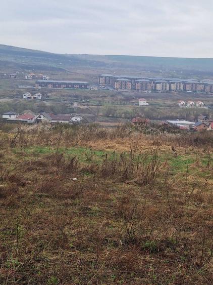 Parcele de teren Valea Chintaului 500 mp (16/31) cu CF individual - 5