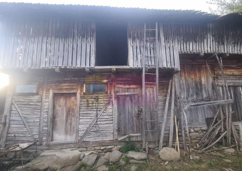 Casa batraneasca cu teren (4.910 mp) la Alunis - 14