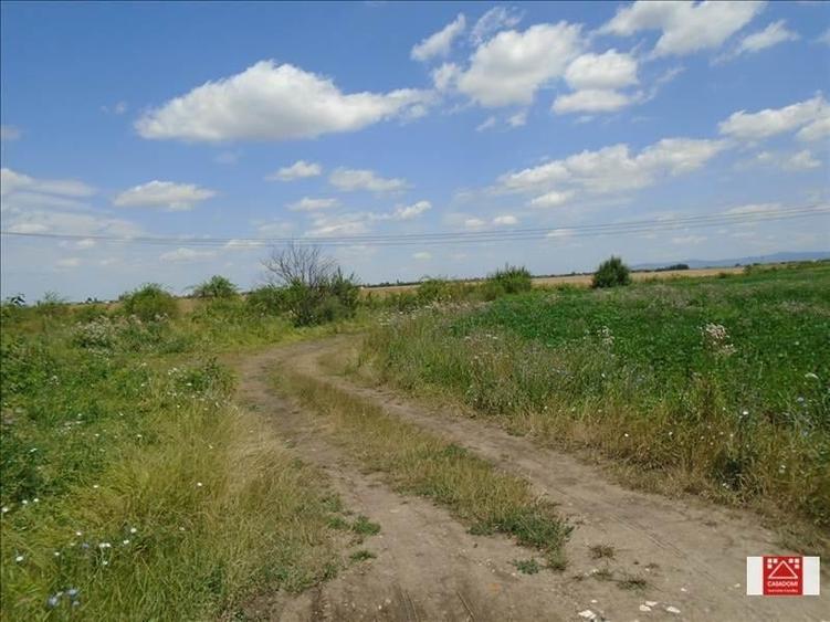Teren agricol extravilan de 43784 mp, în Exterior Nord