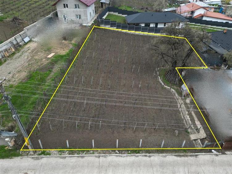 Teren intravilan 842 mp , asfalt , toate utilitatile - Valea Lupului , Iasi - 4