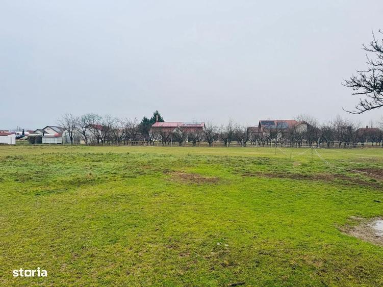 Parcele teren intravilan Fughiu - 3