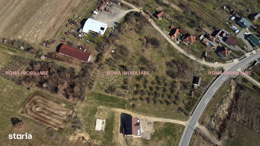 Teren intravilan Berchez 3700 mp+ 2950 mp Utilita?i 700/ar NEGOCIABIL - 2