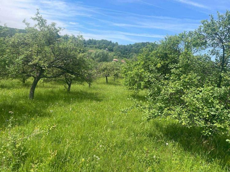 Teren de vanzare, peisaj superb, aproape de autostrada Pitesti-Sibiu - 2