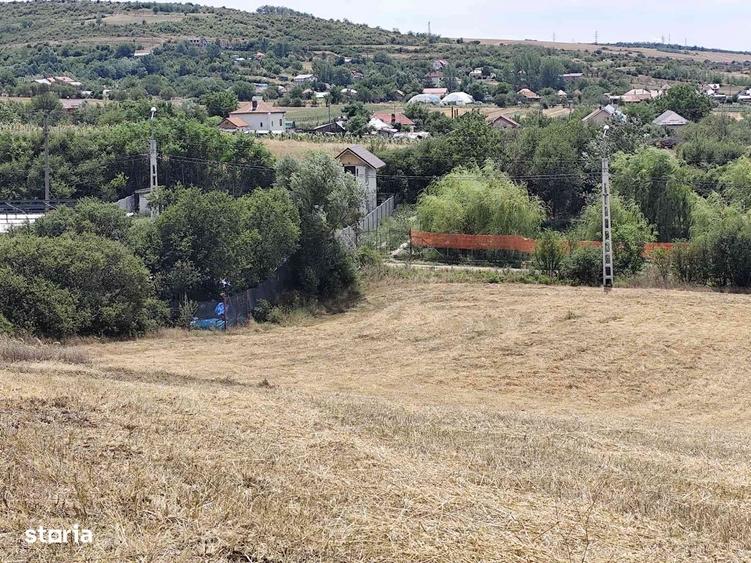 Simnicu de Sus, Lesile- 6050 mp teren intravilan - 2