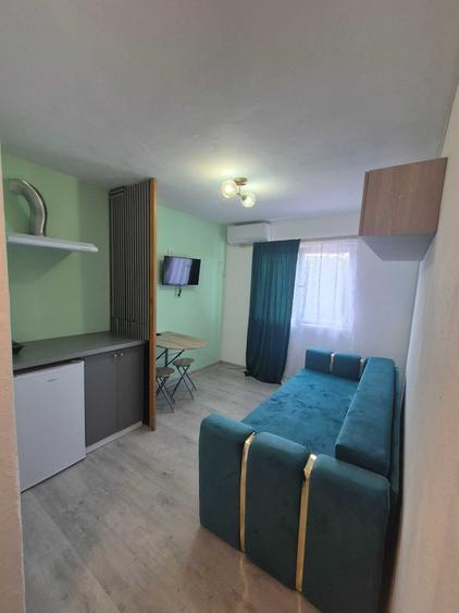 Vand Garsoniera Tip Studio Oras Buzias (Judetul Tm) - 5