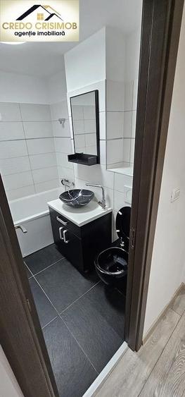 Vand apartament mobilat si utilat complet ,Renovat modern - 14