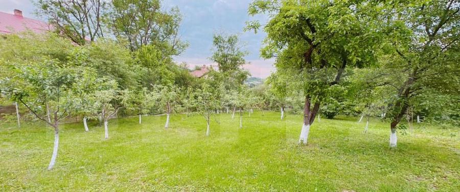 Casa in Moreni (exterior Vest) si 2000 mp de teren - 11