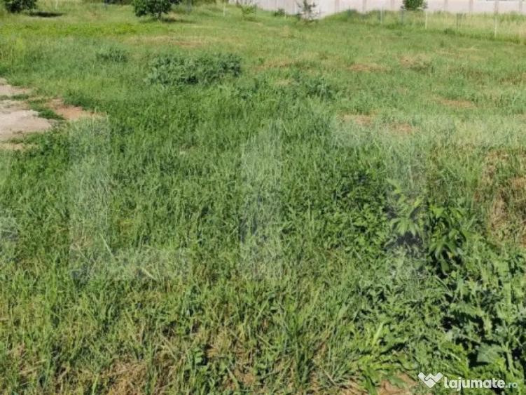 Teren 1200 mp cu autoriza?ie casa P+E, Horpaz - 2