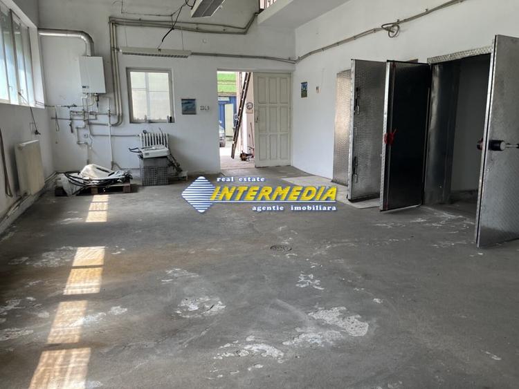 HALA 160 MP I ALBA IULIA I ZONA MALL ALBA CAROLINA I DE INCHIRIAT I - 4