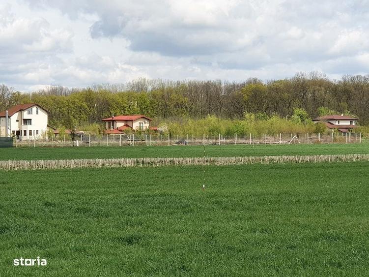 Teren langa padure si aproape utilitati,800 mp,36000 euro - 2