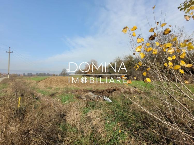 Vanzare teren intravilan - 1654 mp - strada Amurgului - Ursati - 3