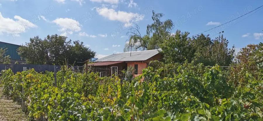 Vand casa 2 camere cu centrala gaze Sivita, judetul Galati - 2