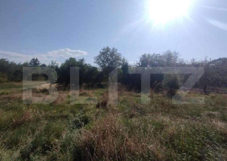 Casa 160mp utili+anexe+teren 67 ari intravilan,10 km distant - 3