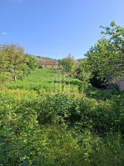 Casă cu două corpuri de clădire și teren generos – sat Boarta, județul Sibiu - 15