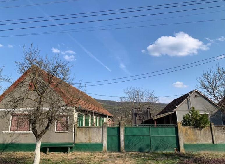 Casa de vanzare in Cuvin - 1
