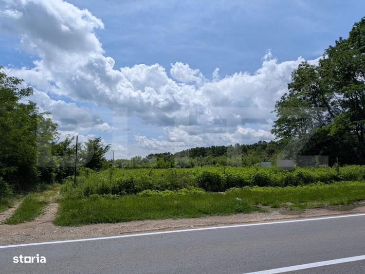 Vand teren extravilan, 12700mp, in Priseaca, oportunitate de investiti - 1