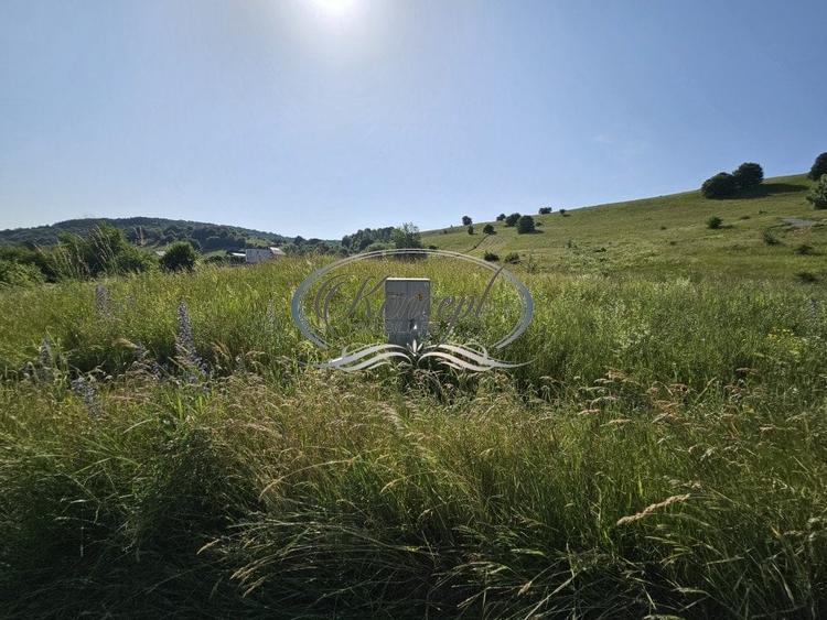 Teren construibil in proximitatea pensiunii ”La Mesteceni” - 4