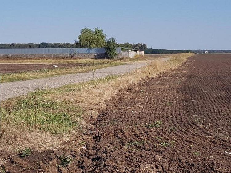 Teren intravilan de vânzare Brănești – DN3, deschidere 60 ml  investie - 1