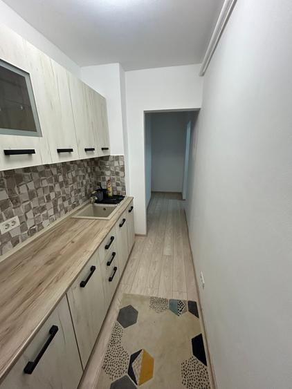 Dristor Metrou 4 Min Camil Ressu, Liviu Rebreanu, ParkLake, C Anaf, renovata - 6