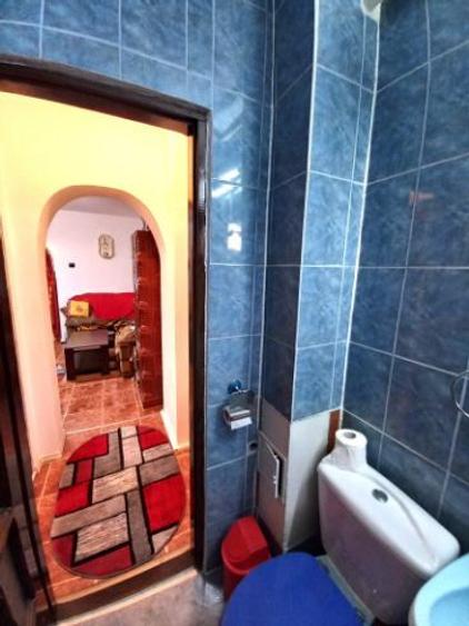 Apartament ideal pentru locuinta permanenta sau casa de vacanta - 7