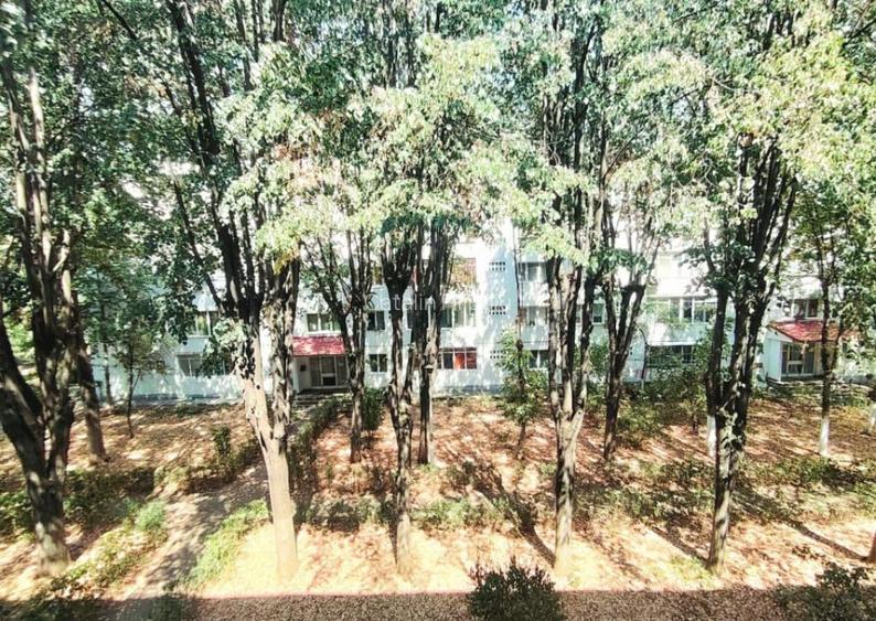 Apartament 3 camere Apartament 3 camere