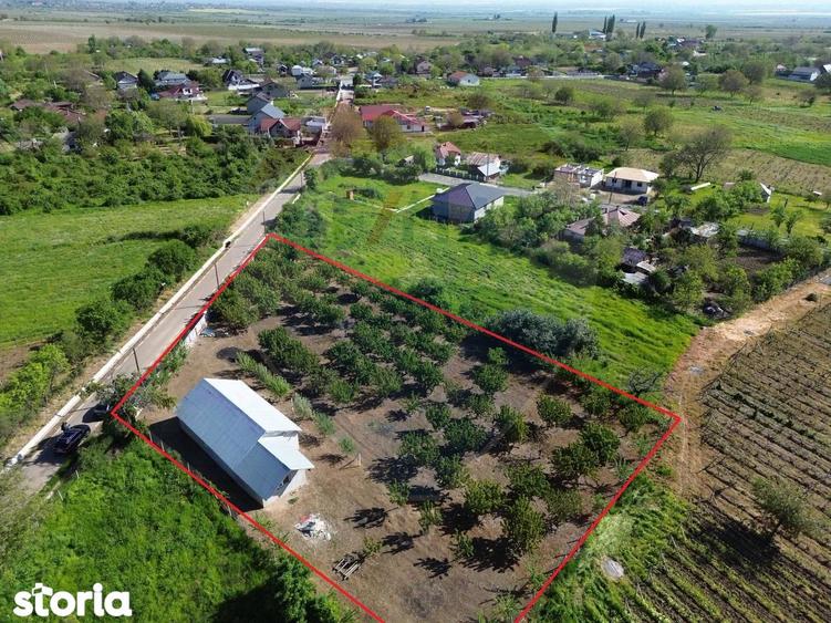 Casa cu 3094mp livada Cotesti - 10
