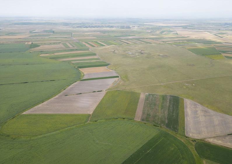 Teren arabil de 40 hectare in Zarand - 4