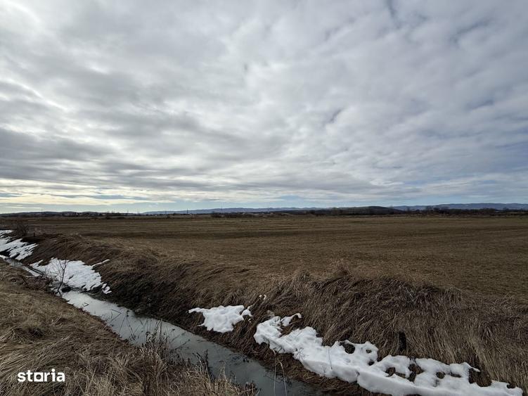 Teren extravilan | Radau?i zona Jalcau | 3.900 mp | 41 m front - 3