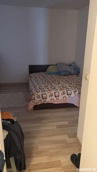 casa comuna Berceni - 3