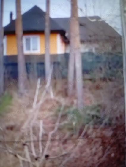 imobiliare CASA TEREN - 5