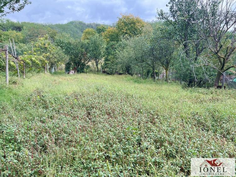 Casa de vanzare in Ighiu- Bucerdea Vinoasa - 10