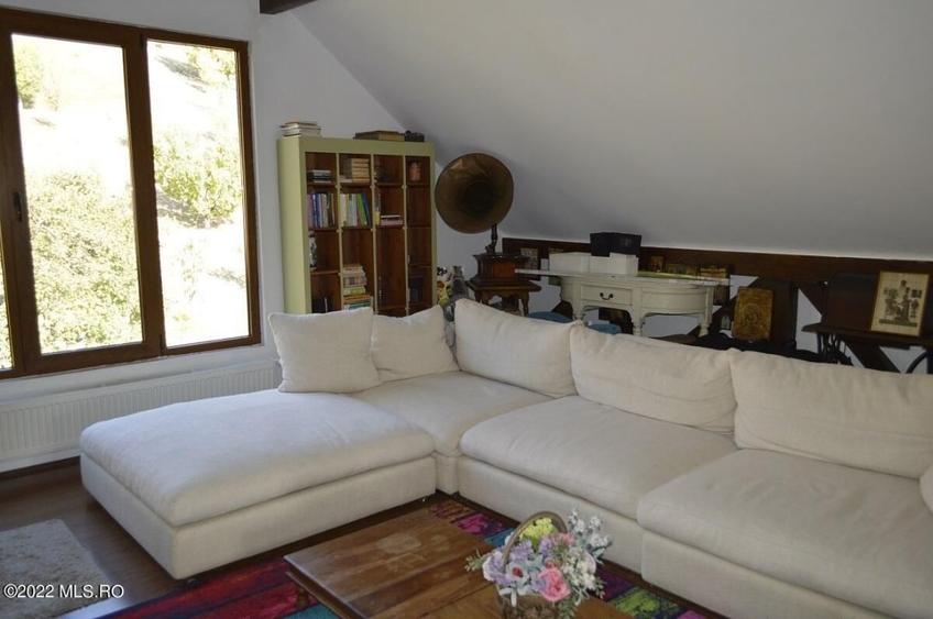 Topoloveni - Conacul Ion Mihalache, Domeniu pe 5 Hectare! - 31