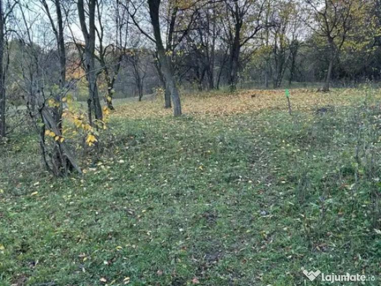 Teren intravilan 2.050 mp Comuna Izvoarele, jude?ul Pra - 8