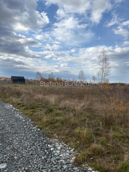 Teren  de vanzare -PUZ aprobat | 860 mp |  Valea Avrigului