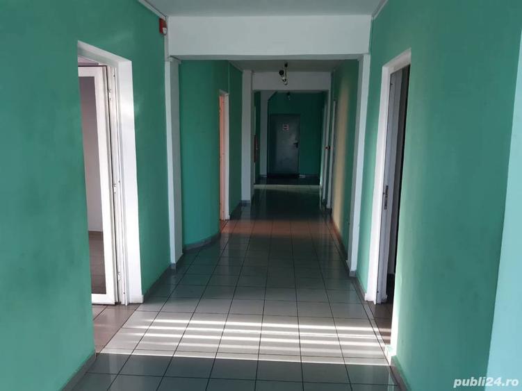 Hala 4.000 mp si apartament 120 mp GRATIS cumperi doar terenul de 18.500 mp - 6
