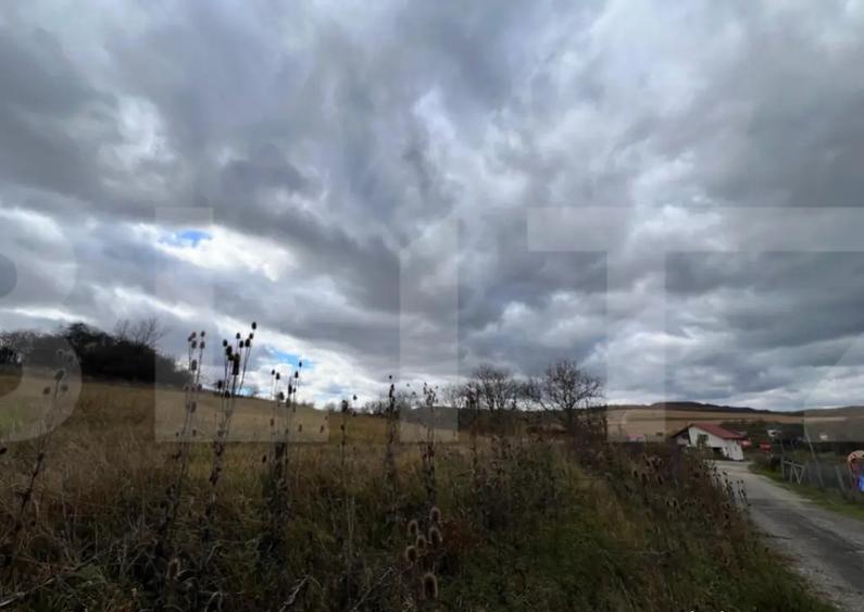 Teren de vanzare perfect pentru investitie in Babutiu - 3