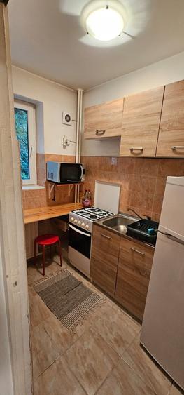 Garsoniera pet friendly Constantin Brancoveanu - 4