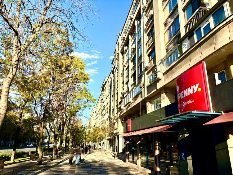 Spatiu comercial 110 mp de vanzare – Bd. Decebal - 2