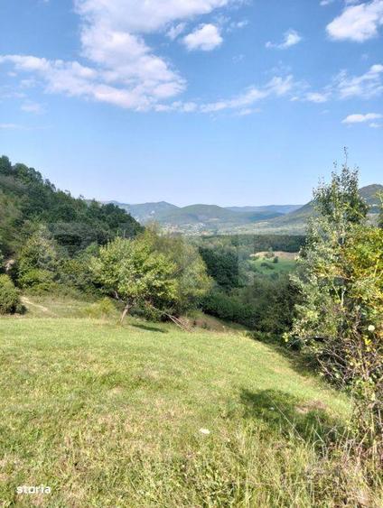 Teren generos de 70290 mp, 5045 mp intravilan, Poiana Ampoiului, Metes - 7