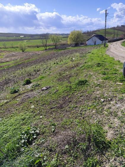 Teren intravilan in Rosiorii,3950m2, utilitati! - 3