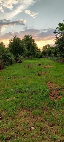 Teren intravilan, 1000 mp, Iezureni Gorj - 3