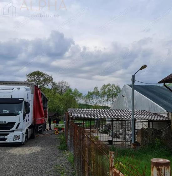 AFACERE LA CHEIE HALA PRODUCTIE + SERA PROFESIONALA - 8