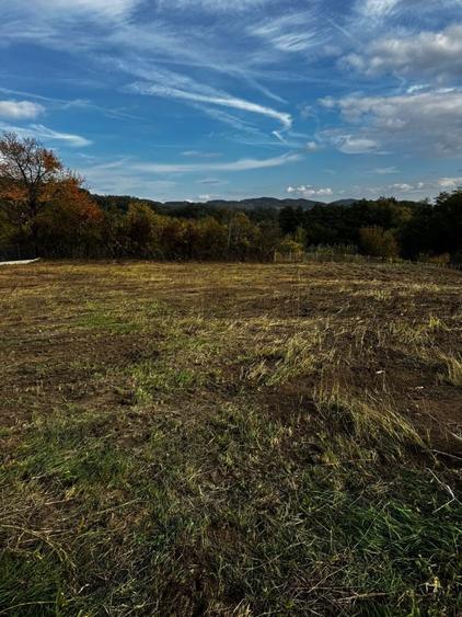 Vand 2 loturi de teren la Vladesti - 1